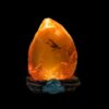 LAMPADA JURASSIC PARK AMBER - immagine 3